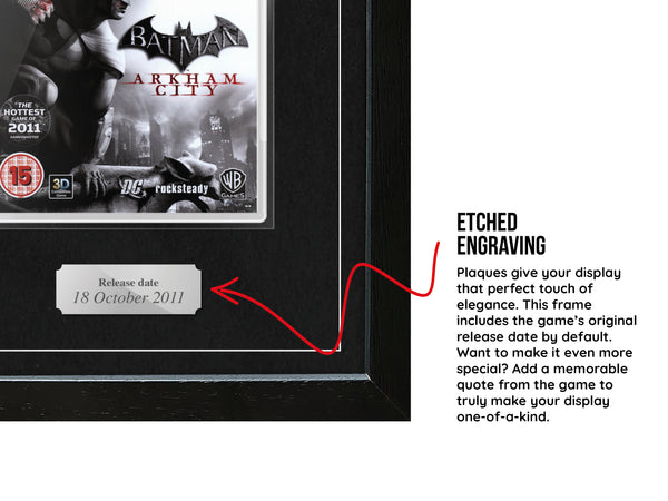 Batman: Arkham City (PS3) Exhibition Range Framed Game
