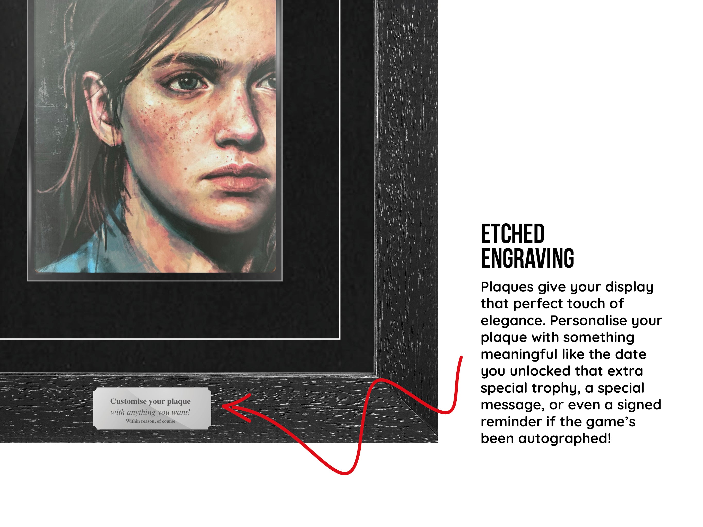 PS4 Controller, Disc & Game Frame