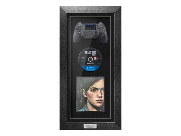 PS4 Controller, Disc & Game Frame