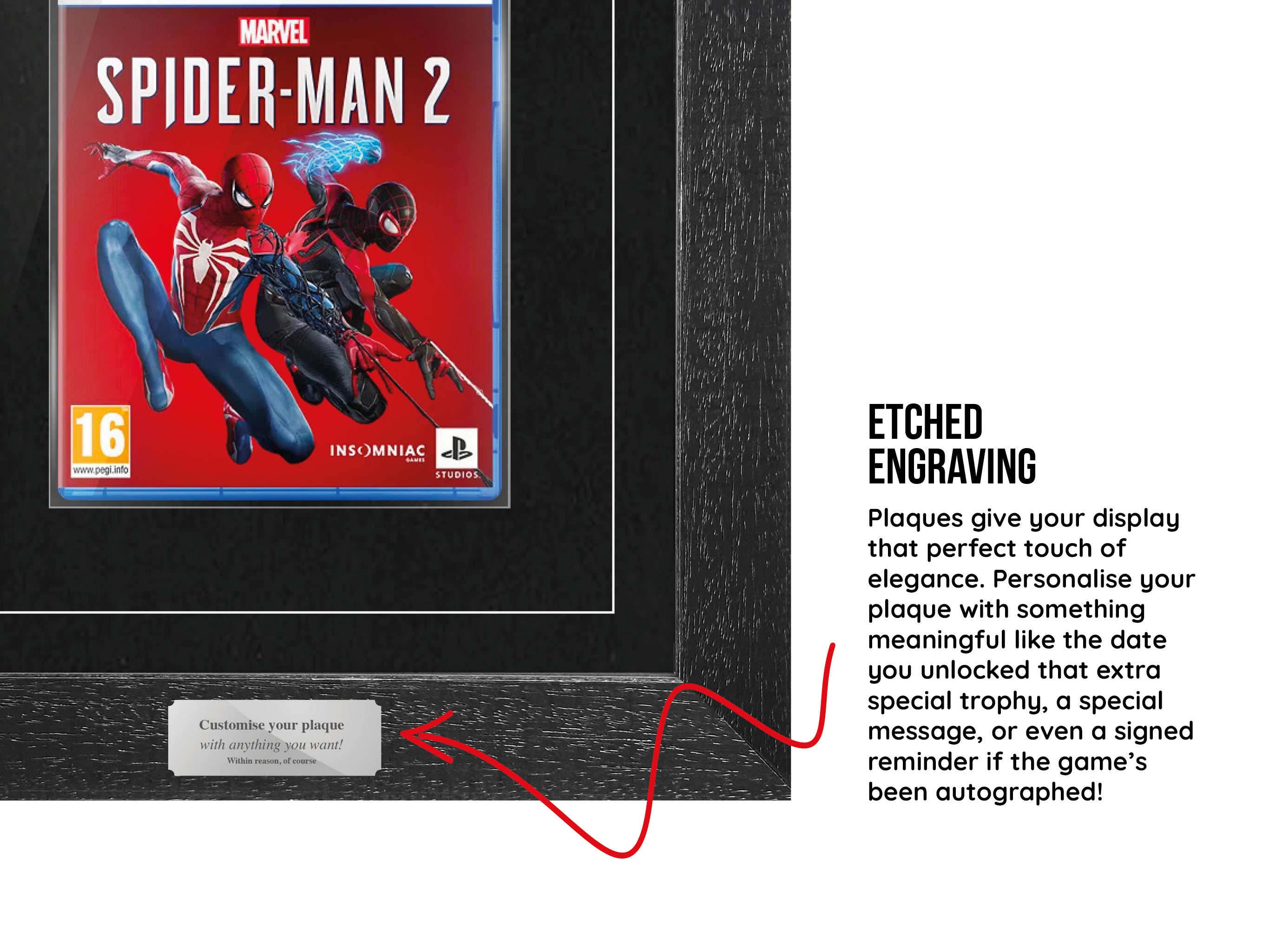 PS5 Controller, Disc & Game Frame