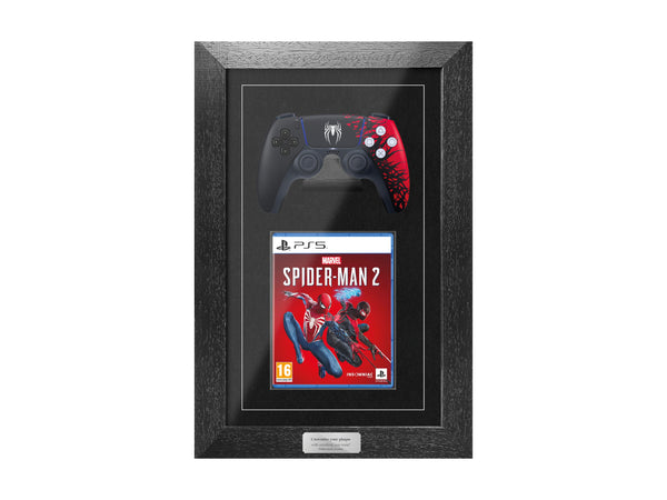 PS5 controller game frame