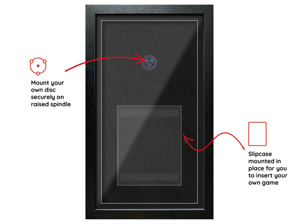 Destiny (PS4) Exhibition Range Framed Game