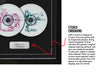 Final Fantasy IX (PS1) Exhibition Range Framed Game