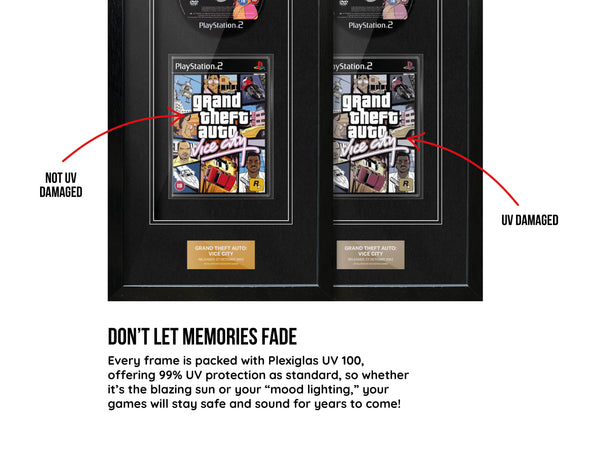 Grand Theft Auto: Vice City (PS2) Elite Range Frame