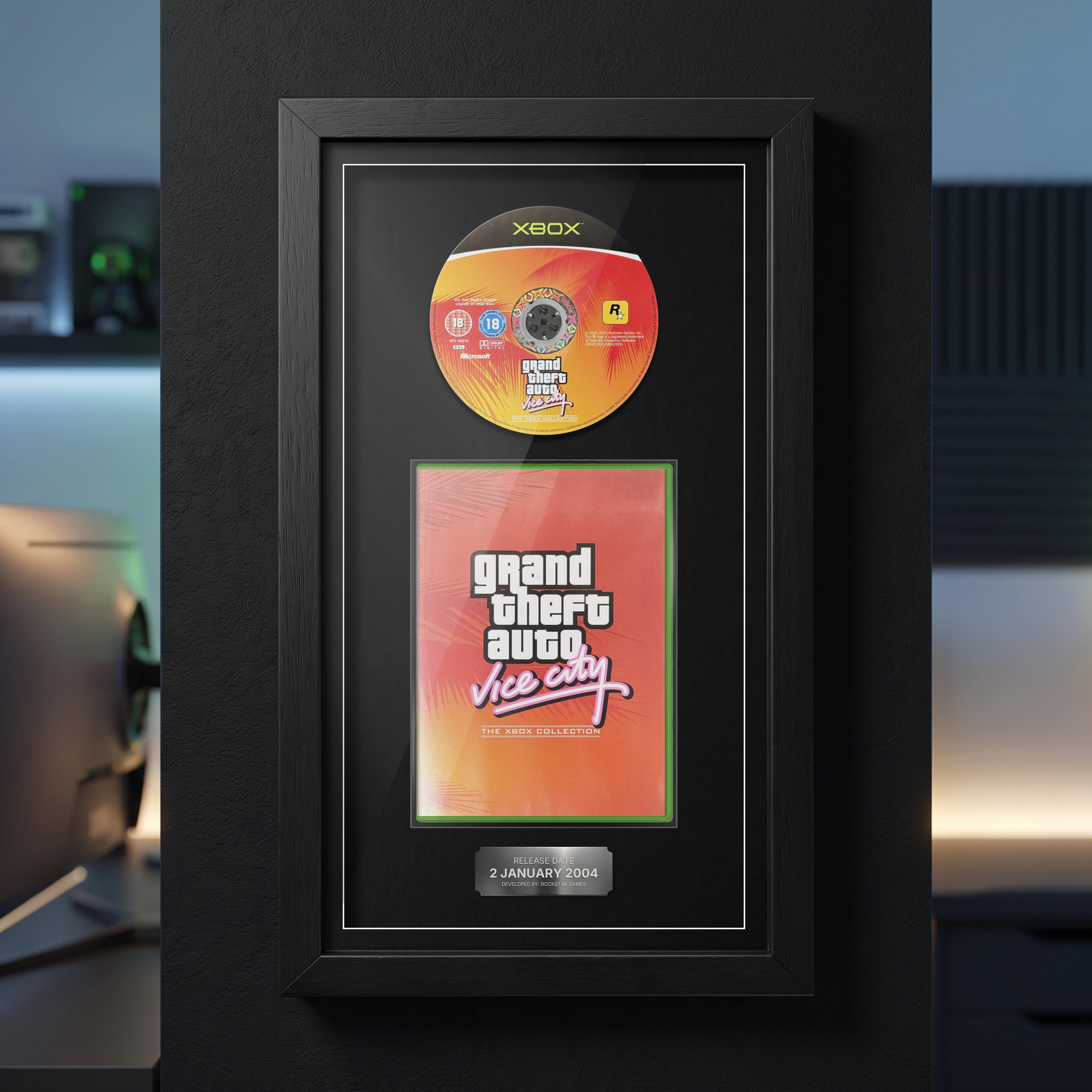 GTA Vice City Xbox Exhibition Range frame on display