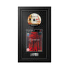 Resident Evil 4 (PS2) Exhibition Range Framed Game