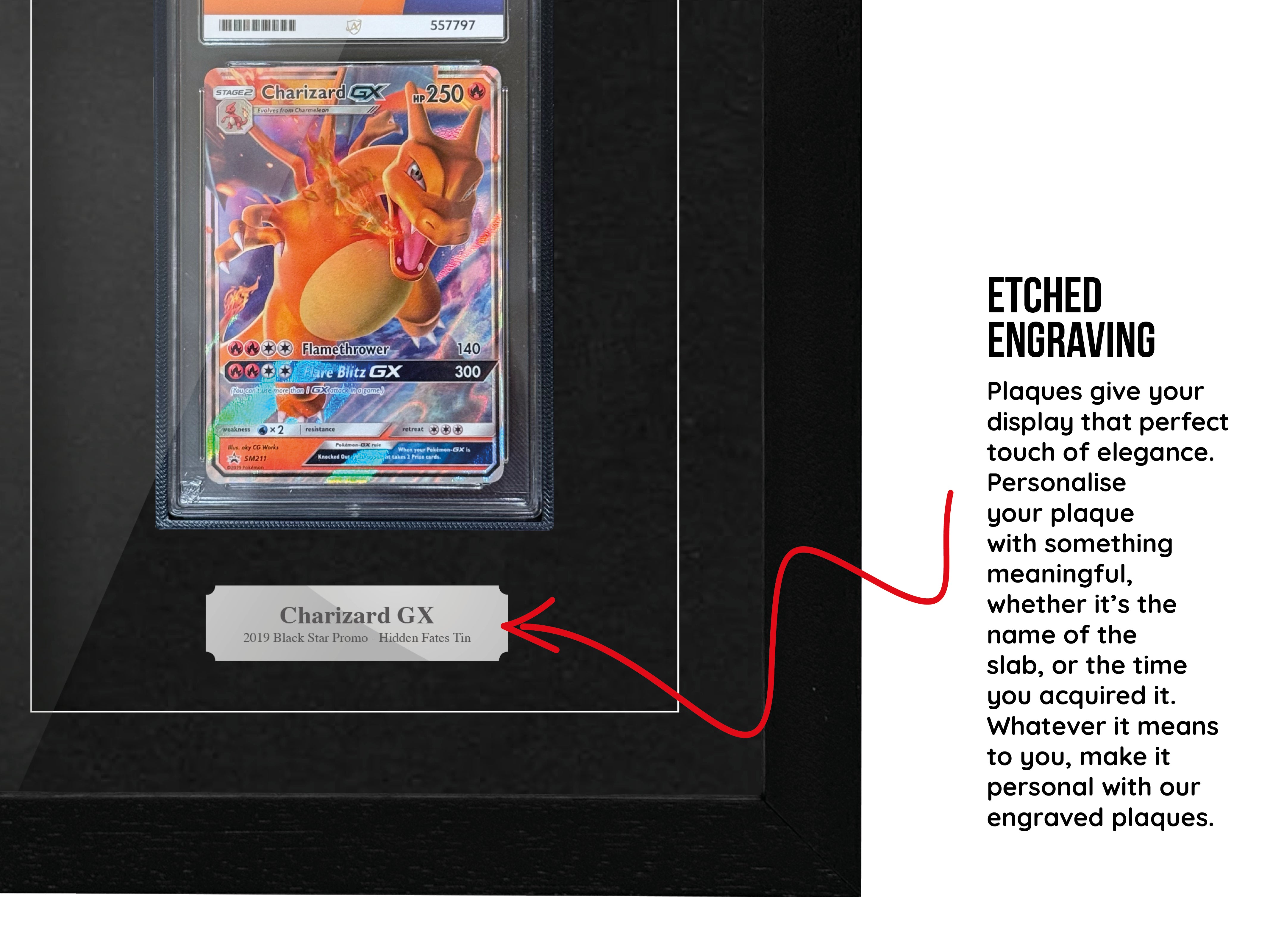 ACE-Graded Trading Card Frame