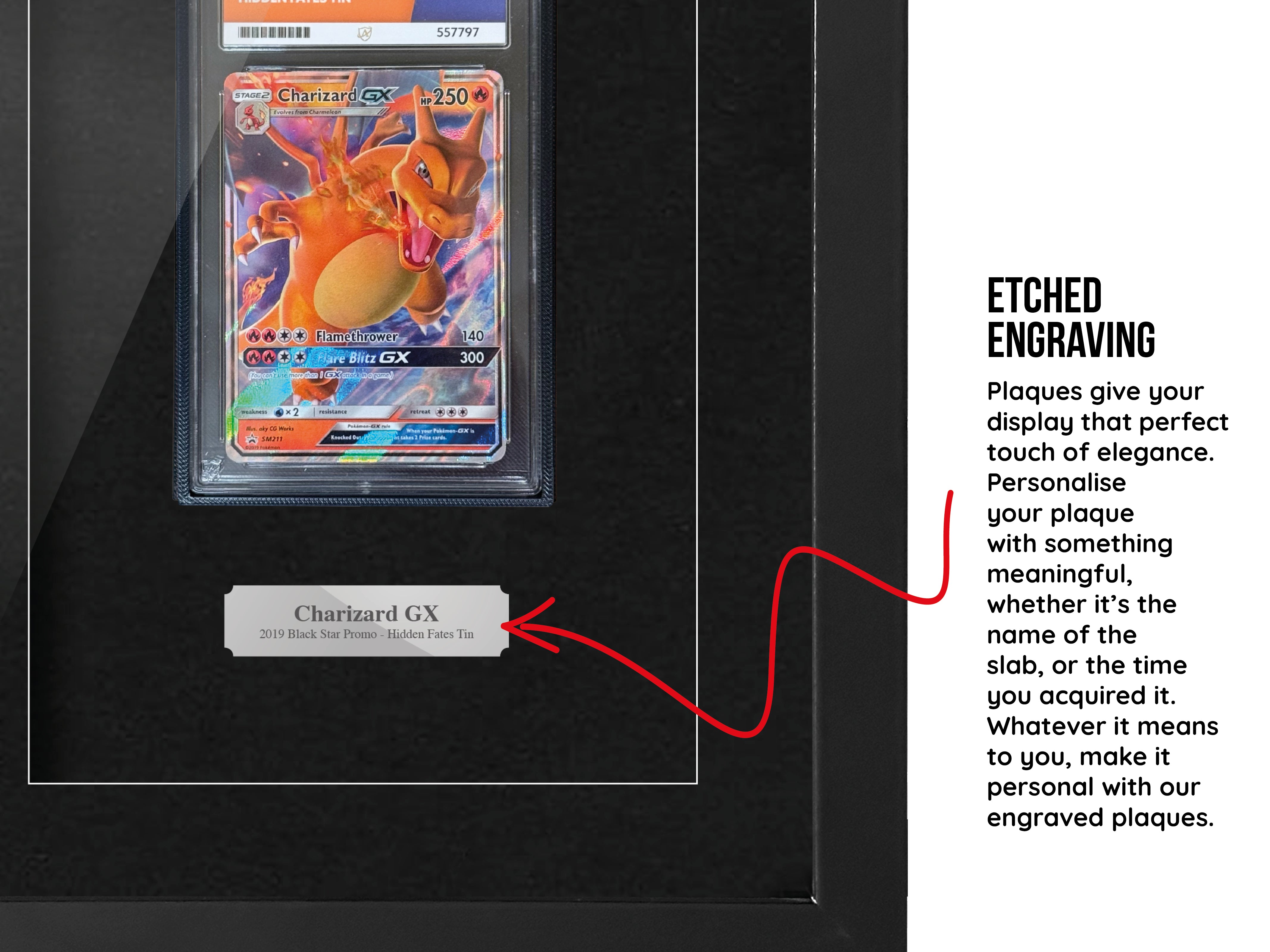 ACE-Graded Trading Card Frame