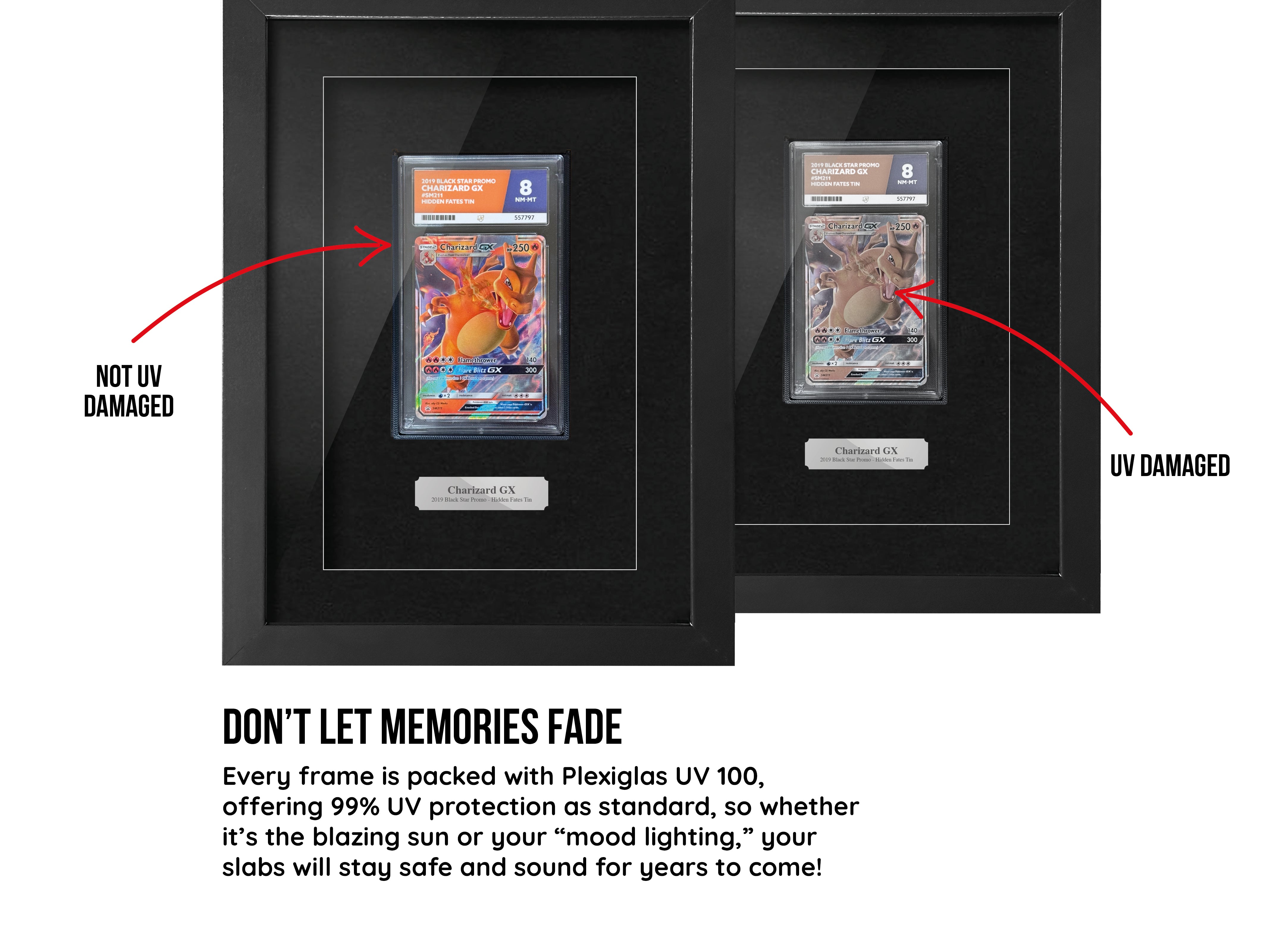 ACE-Graded Trading Card Frame