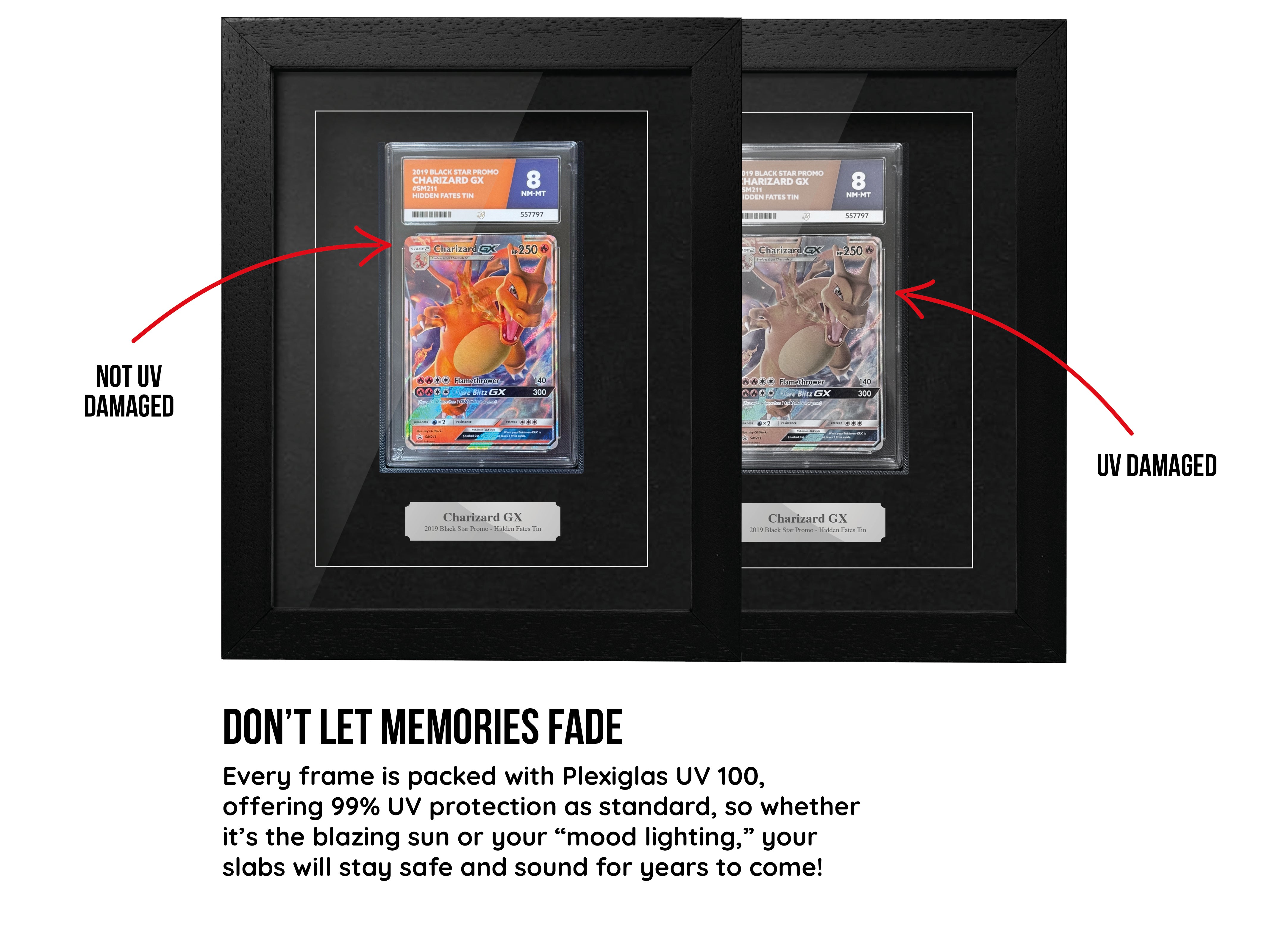 ACE-Graded Trading Card Frame