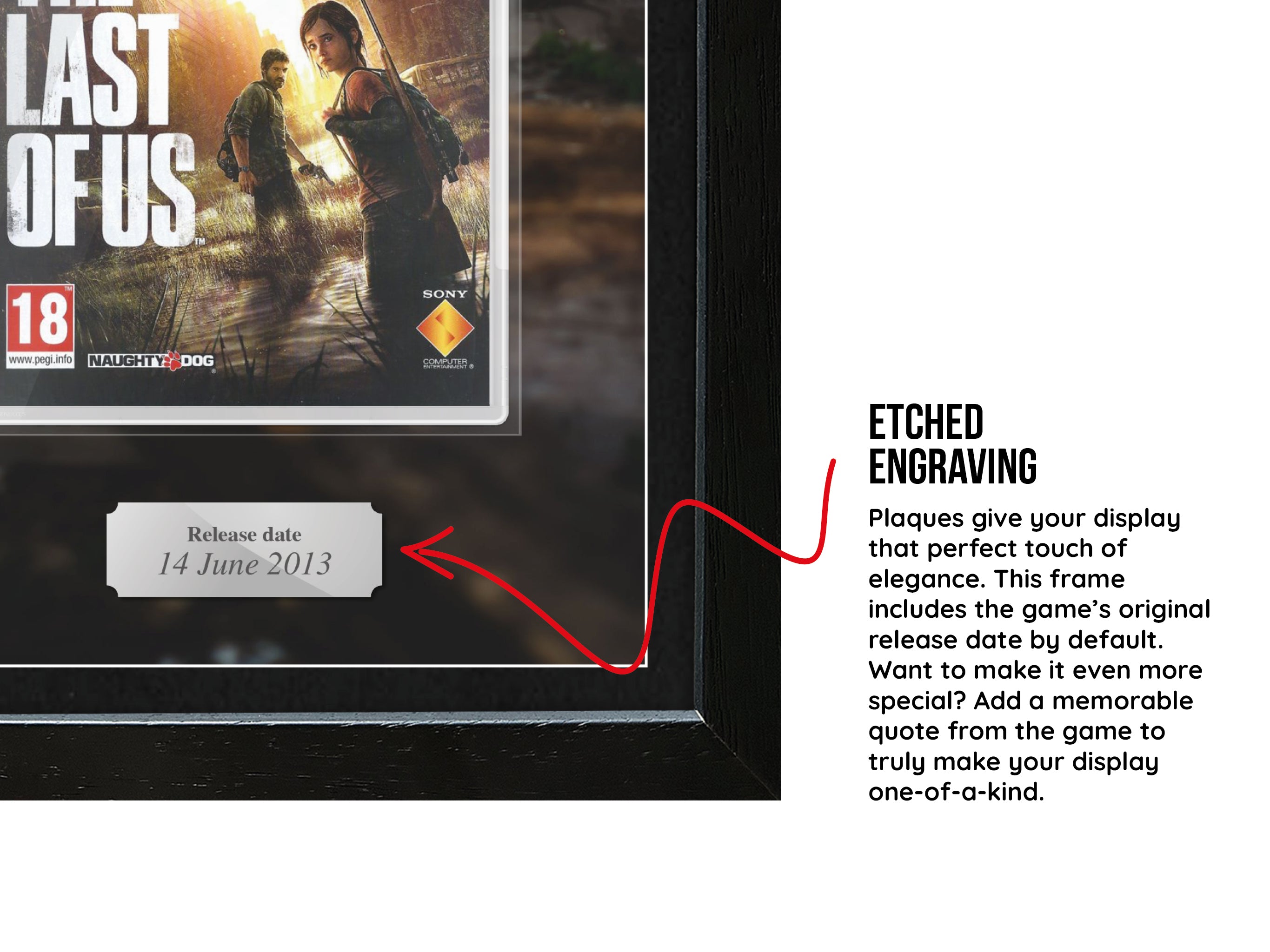 The Last of Us (PS3) Inspired By Exhibition Range Framed Game