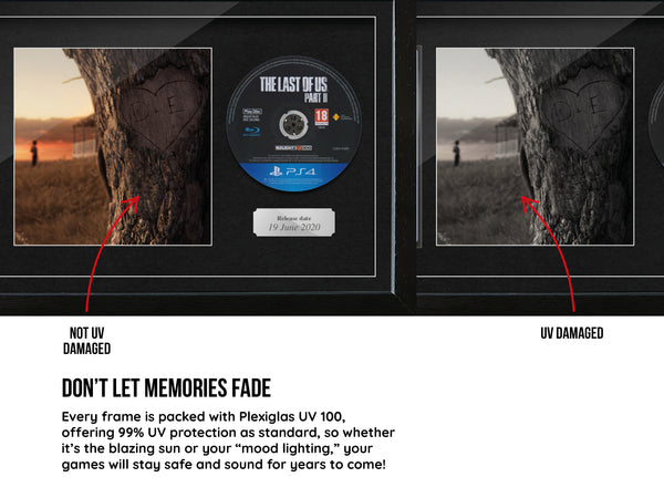 Use Your Own Game (PS4) Virtual Photography Range Frame