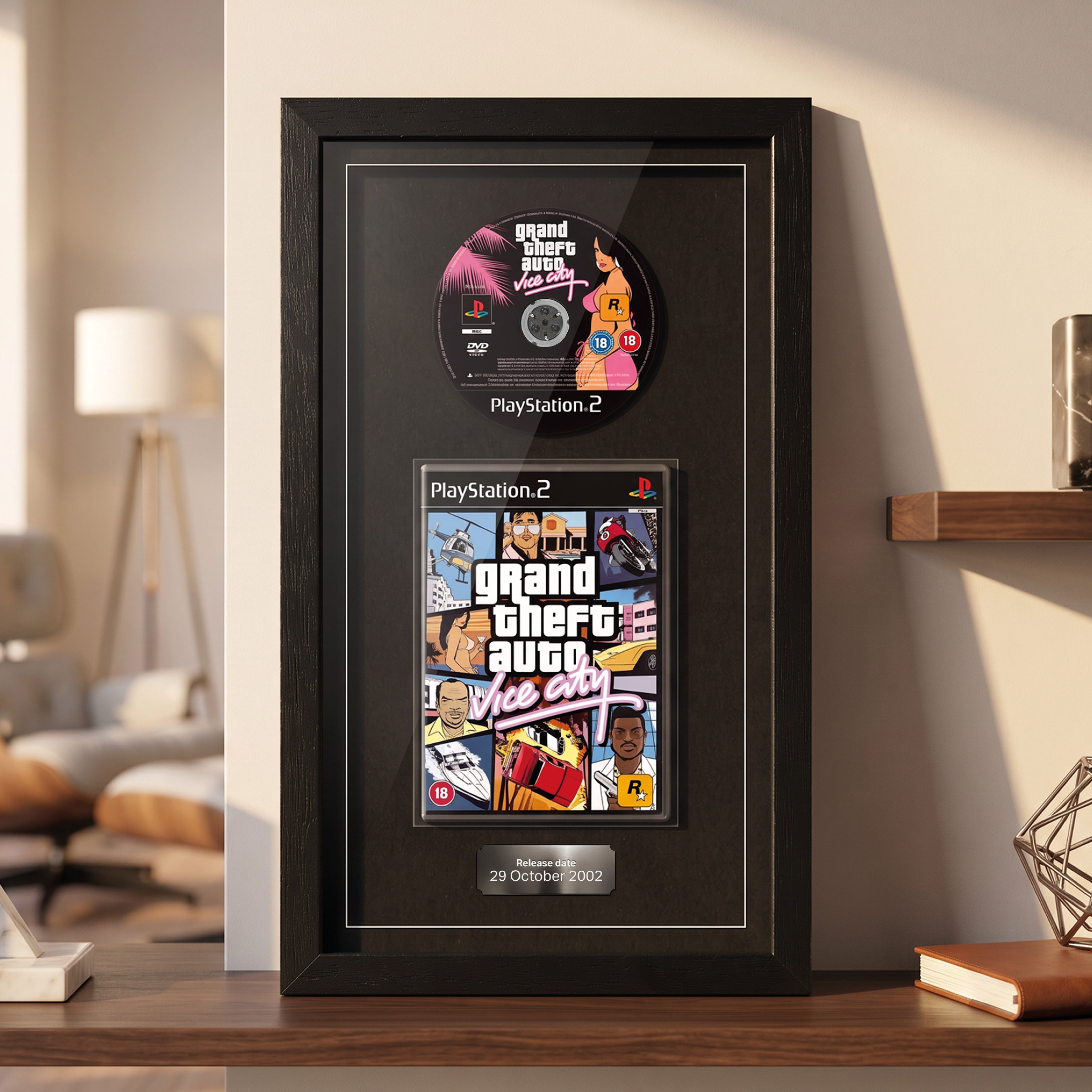 Use Your Own Game (PS2) Exhibition Display Frame