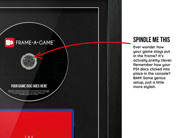 Use Your Own Game (PS2) MagFrame Exhibition Range Frame